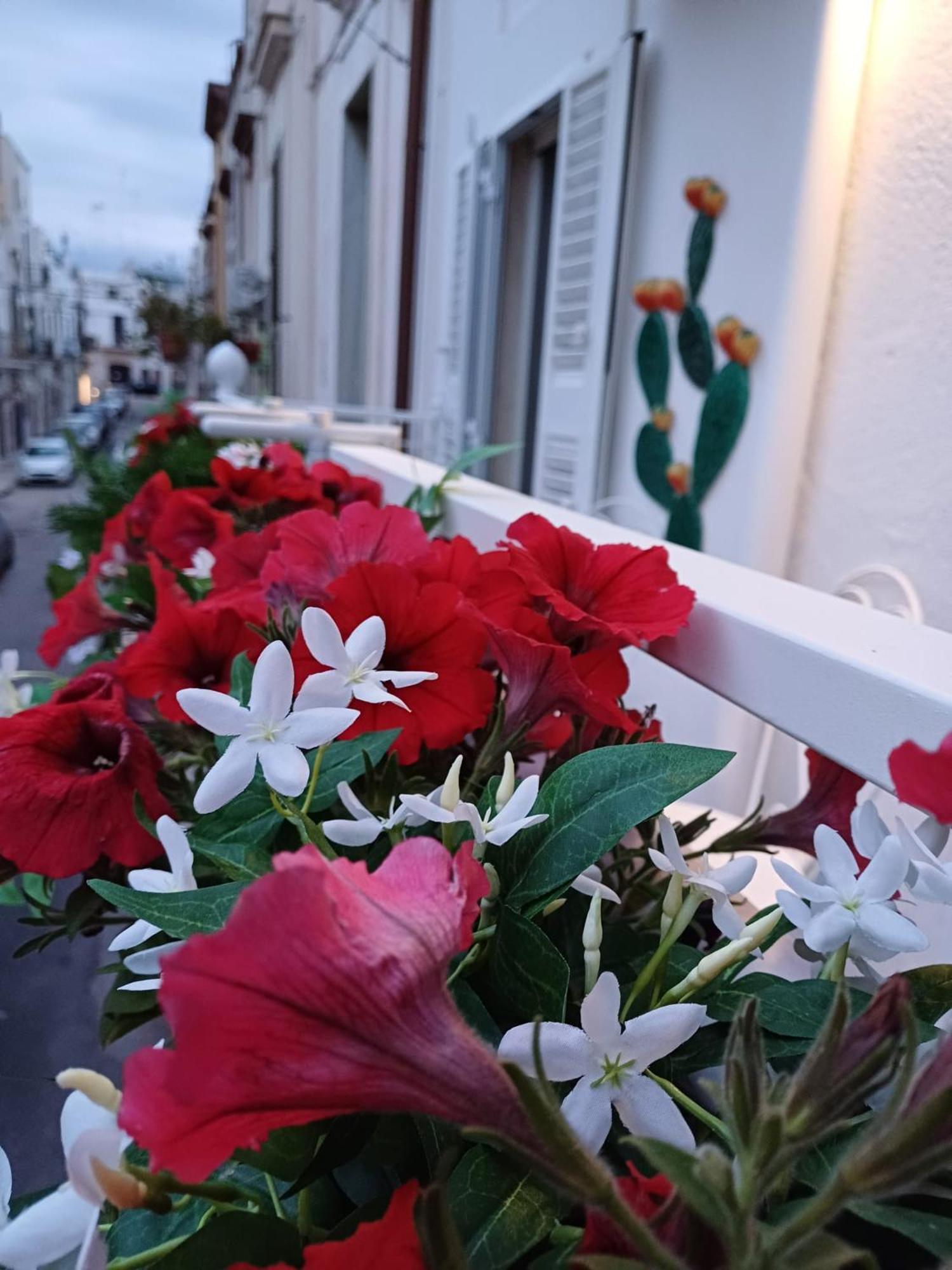 Ferienwohnung Casa Lina Mola di Bari Exterior foto